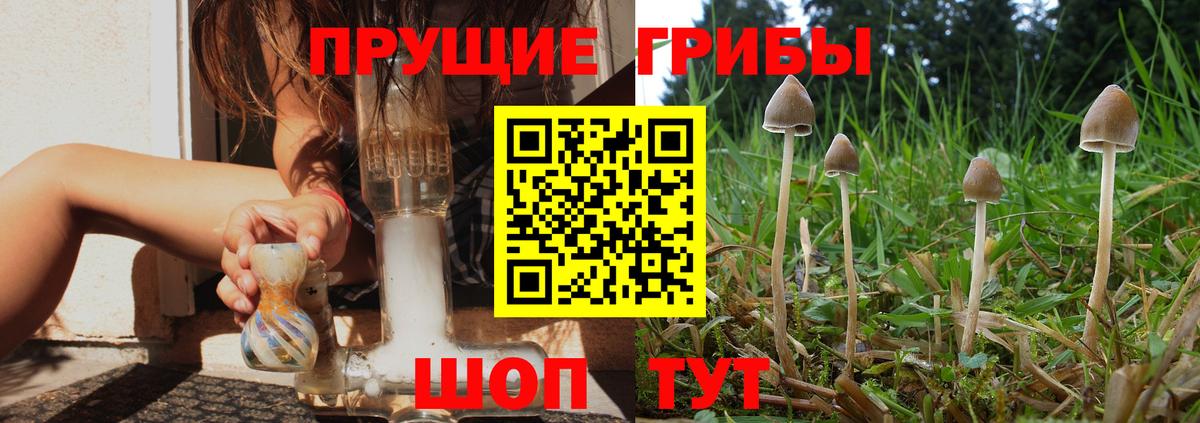 Псилоцибиновые грибы мухоморы Санкт-Петербург